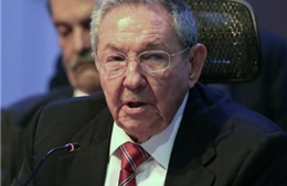 Chủ tịch Cuba thăm Algeria